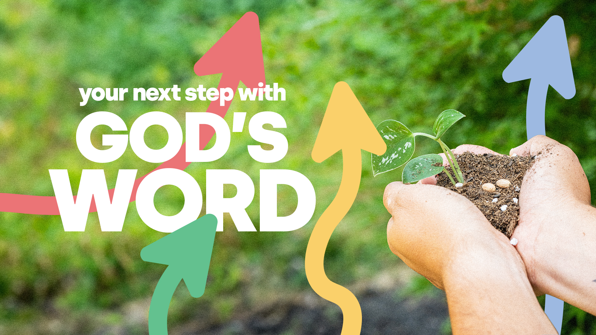 Featured image for Excursion Guide: Your Next Step with God’s Word