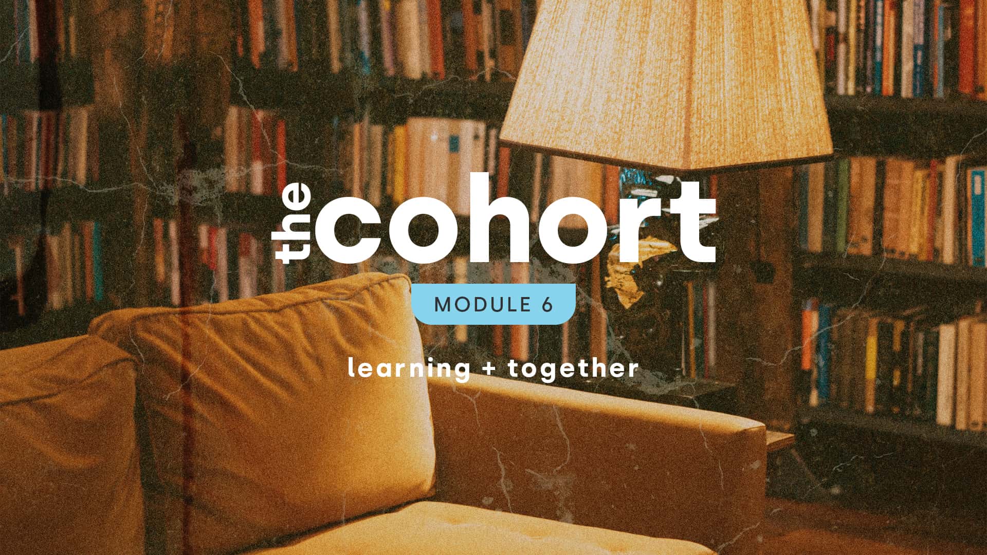 Featured image for The Cohort: Module Six